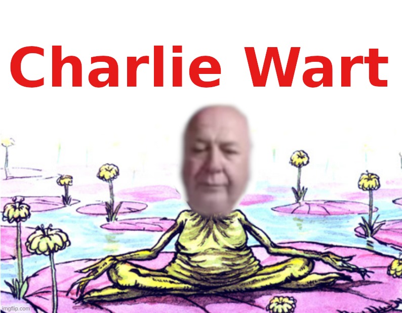 Charlie Wart | image tagged in cw,charlie,ward,grifter,xl,frog | made w/ Imgflip meme maker