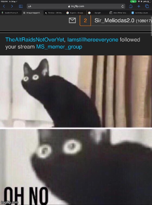 Oh shit | image tagged in oh no cat,disney killed star wars,star wars kills disney | made w/ Imgflip meme maker