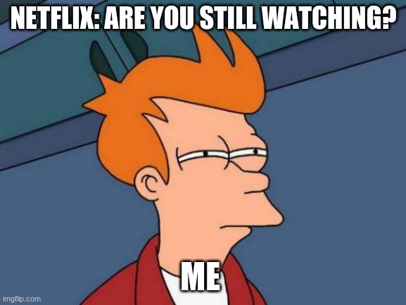 Futurama Fry Meme | NETFLIX: ARE YOU STILL WATCHING? ME | image tagged in memes,futurama fry | made w/ Imgflip meme maker