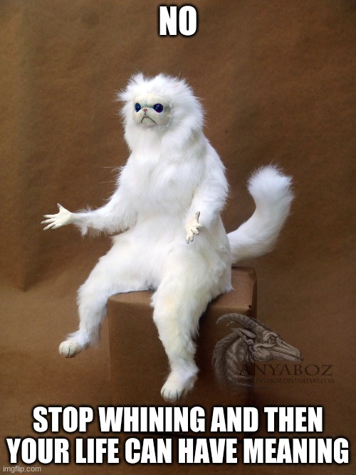 stop now | NO; STOP WHINING AND THEN YOUR LIFE CAN HAVE MEANING | image tagged in memes,persian cat room guardian single,funny | made w/ Imgflip meme maker