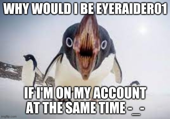 You have angered pingu | WHY WOULD I BE EYERAIDER01; IF I'M ON MY ACCOUNT AT THE SAME TIME -_- | image tagged in you have angered pingu | made w/ Imgflip meme maker