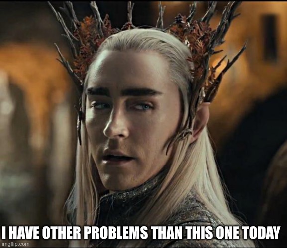 Thranduil | I HAVE OTHER PROBLEMS THAN THIS ONE TODAY | image tagged in thranduil | made w/ Imgflip meme maker