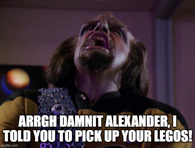 Worf Screams | ARRGH DAMNIT ALEXANDER, I TOLD YOU TO PICK UP YOUR LEGOS! | image tagged in worf screams | made w/ Imgflip meme maker