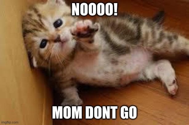 Sad Kitten Goodbye | NOOOO! MOM DONT GO | image tagged in sad kitten goodbye | made w/ Imgflip meme maker