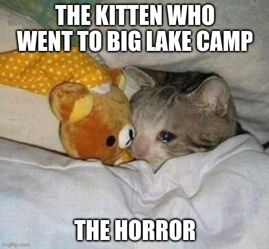 crying kitten | THE KITTEN WHO WENT TO BIG LAKE CAMP; THE HORROR | image tagged in crying kitten | made w/ Imgflip meme maker