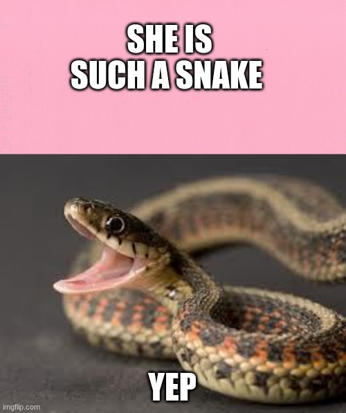 SHE IS SUCH A SNAKE; YEP | image tagged in warning snake | made w/ Imgflip meme maker