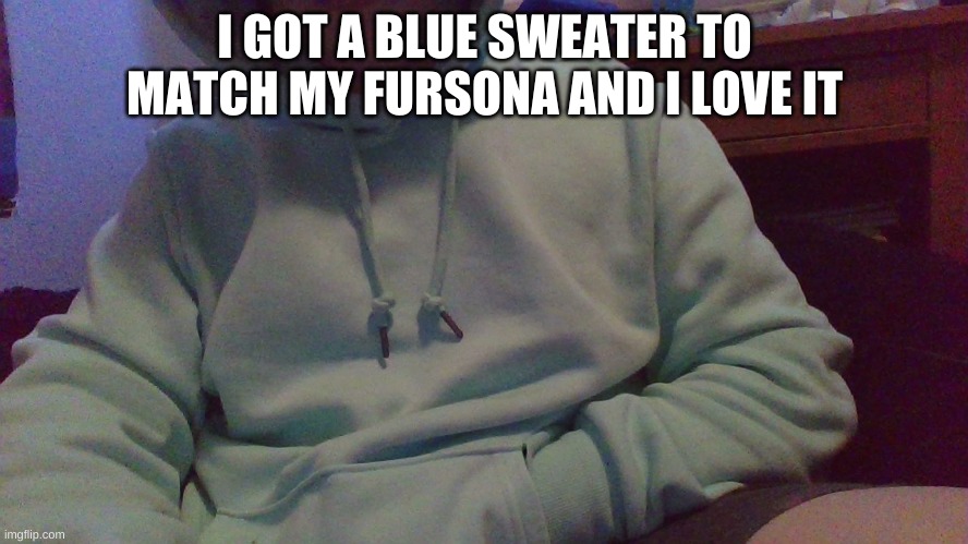 i have no regrets | I GOT A BLUE SWEATER TO MATCH MY FURSONA AND I LOVE IT | image tagged in good,money,spent | made w/ Imgflip meme maker