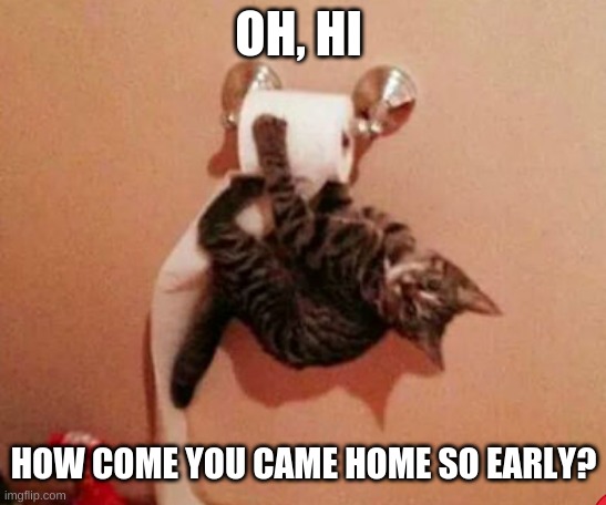 messy cat | OH, HI; HOW COME YOU CAME HOME SO EARLY? | image tagged in cat | made w/ Imgflip meme maker