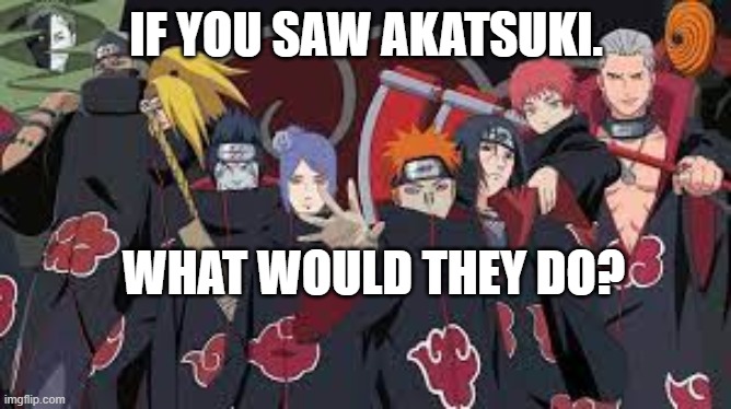 what would they do? | IF YOU SAW AKATSUKI. WHAT WOULD THEY DO? | image tagged in akatuski,konan,pain,zetsu,itachi,tobi | made w/ Imgflip meme maker