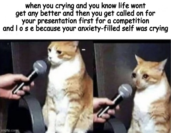 Crying Cat Interview Horizontal | when you crying and you know life wont get any better and then you get called on for your presentation first for a competition and l o s e because your anxiety-filled self was crying | image tagged in crying cat interview horizontal | made w/ Imgflip meme maker