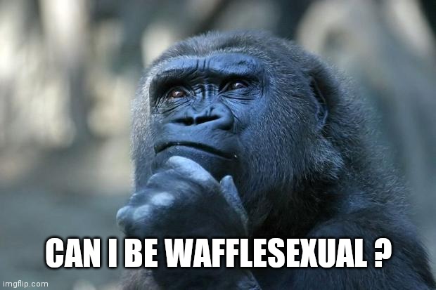 Deep Thoughts | CAN I BE WAFFLESEXUAL ? | image tagged in deep thoughts | made w/ Imgflip meme maker