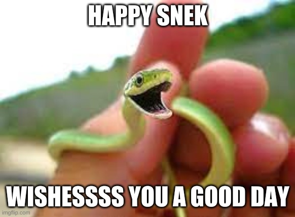 Happy snek | HAPPY SNEK; WISHESSSS YOU A GOOD DAY | image tagged in happy snek | made w/ Imgflip meme maker