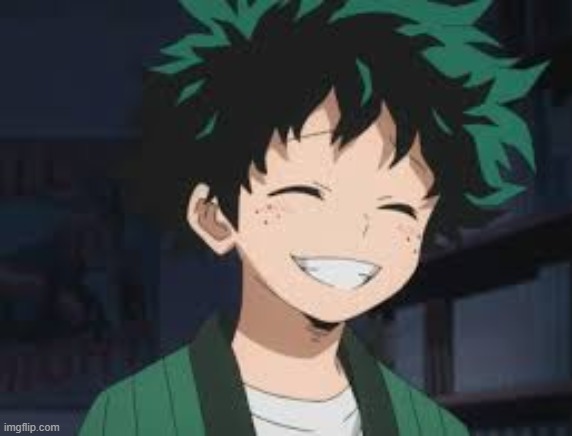 Deku smile | image tagged in deku smile | made w/ Imgflip meme maker