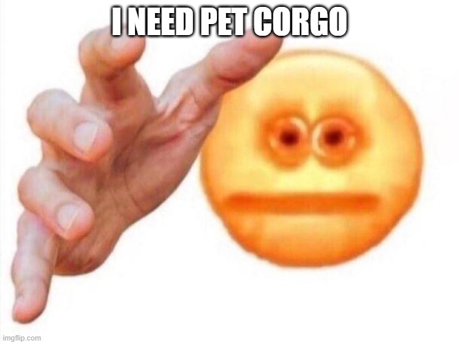 cursed emoji hand grabbing | I NEED PET CORGO | image tagged in cursed emoji hand grabbing | made w/ Imgflip meme maker