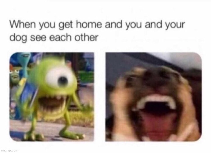 e | made w/ Imgflip meme maker