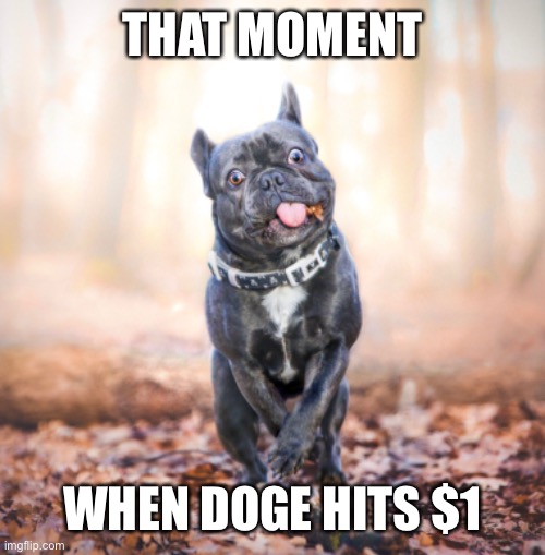 Doge hits 1 | THAT MOMENT; WHEN DOGE HITS $1 | image tagged in doge,crypto,moon,dog,dogecoin,meme | made w/ Imgflip meme maker