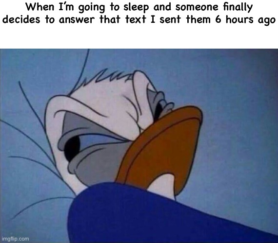angry donald duck  | When I’m going to sleep and someone finally decides to answer that text I sent them 6 hours ago | image tagged in angry donald duck | made w/ Imgflip meme maker