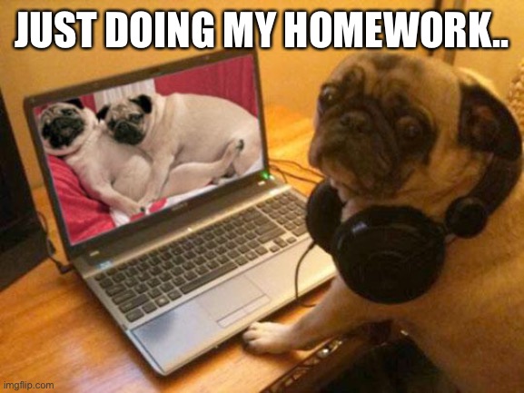 Horny Pug | JUST DOING MY HOMEWORK.. | image tagged in horny pug | made w/ Imgflip meme maker