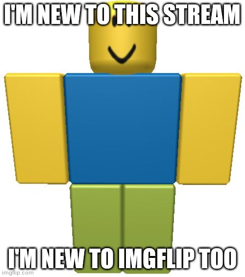 ROBLOX Noob | I'M NEW TO THIS STREAM; I'M NEW TO IMGFLIP TOO | image tagged in roblox noob | made w/ Imgflip meme maker