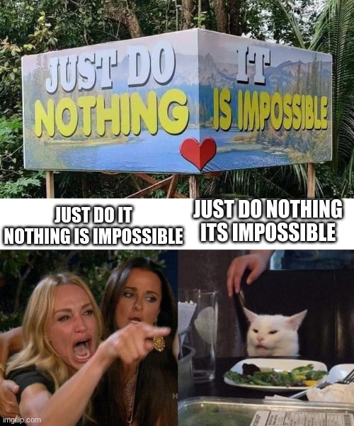 I think the cats correct | JUST DO NOTHING ITS IMPOSSIBLE; JUST DO IT NOTHING IS IMPOSSIBLE | image tagged in memes,woman yelling at cat,you had one job | made w/ Imgflip meme maker
