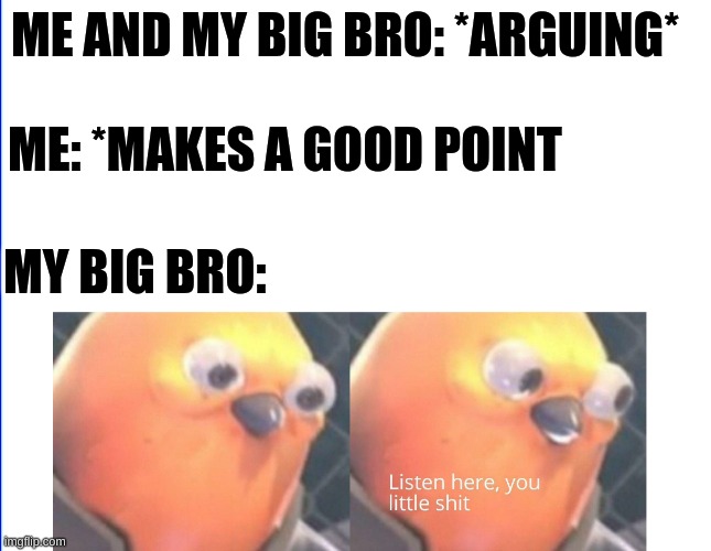 Listen here you little shit | ME AND MY BIG BRO: *ARGUING*; ME: *MAKES A GOOD POINT; MY BIG BRO: | image tagged in listen here you little shit | made w/ Imgflip meme maker