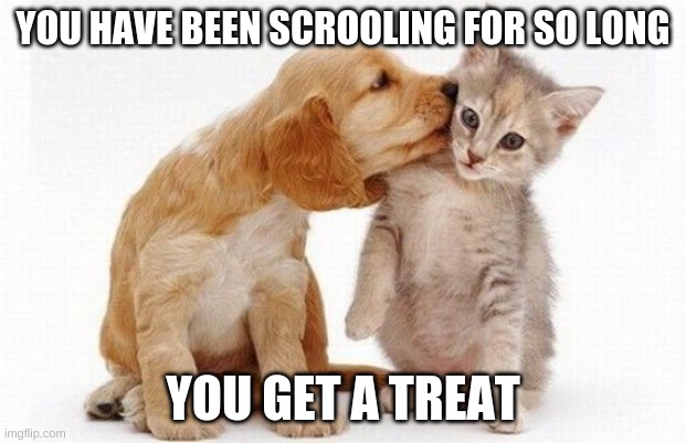 Puppy kisses kitten | YOU HAVE BEEN SCROOLING FOR SO LONG; YOU GET A TREAT | image tagged in puppy kisses kitten | made w/ Imgflip meme maker