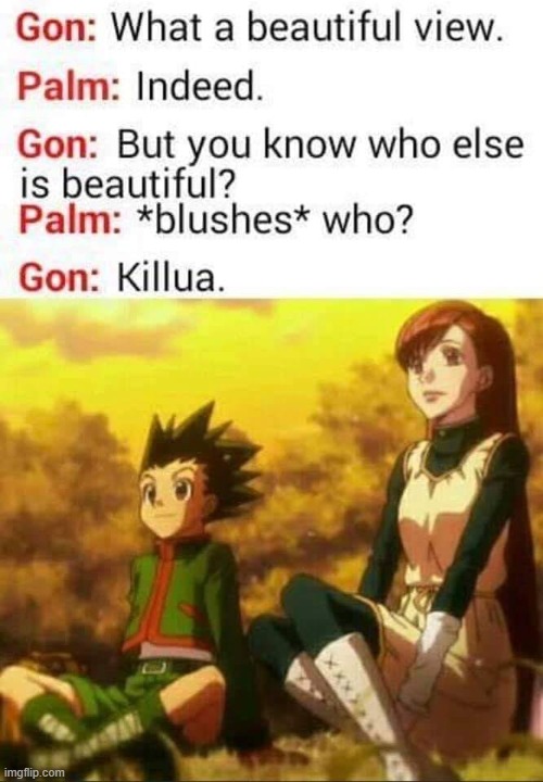 that must of hurt | image tagged in anime,hxh | made w/ Imgflip meme maker