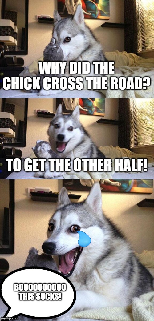 Bad Pun Dog | WHY DID THE CHICK CROSS THE ROAD? TO GET THE OTHER HALF! BOOOOOOOOOO THIS SUCKS! | image tagged in memes,bad pun dog | made w/ Imgflip meme maker