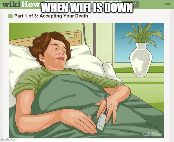 When Wi Fi is down | WHEN WIFI IS DOWN | image tagged in wifi,wifi drops,death | made w/ Imgflip meme maker