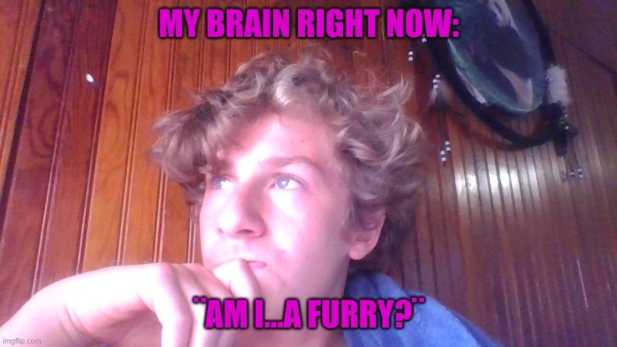 hmmm... | MY BRAIN RIGHT NOW:; ¨AM I...A FURRY?¨ | image tagged in hmmmmm | made w/ Imgflip meme maker