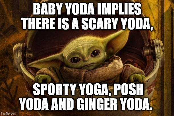 Baby Yoda | BABY YODA IMPLIES THERE IS A SCARY YODA, SPORTY YOGA, POSH YODA AND GINGER YODA. | image tagged in yoda,spice | made w/ Imgflip meme maker