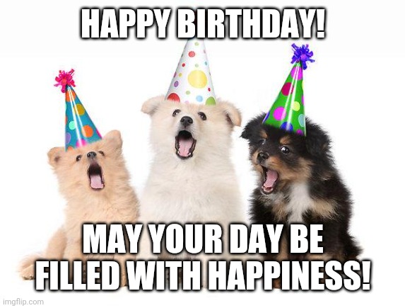 happy birthday puppies | HAPPY BIRTHDAY! MAY YOUR DAY BE FILLED WITH HAPPINESS! | image tagged in happy birthday puppies | made w/ Imgflip meme maker