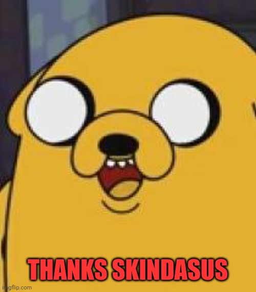 Jake The Dog Yeah Okay | THANKS SKINDASUS | image tagged in jake the dog yeah okay | made w/ Imgflip meme maker