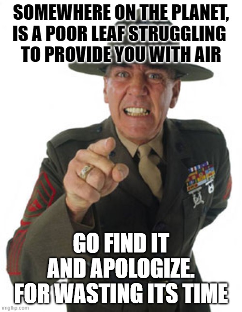 Gunny R. Lee Ermey | SOMEWHERE ON THE PLANET,
IS A POOR LEAF STRUGGLING 
TO PROVIDE YOU WITH AIR; GO FIND IT
AND APOLOGIZE.
FOR WASTING ITS TIME | image tagged in gunny r lee ermey | made w/ Imgflip meme maker