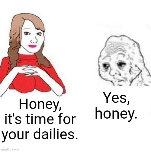 Yes Honey | Yes, honey. Honey, it's time for your dailies. | image tagged in yes honey | made w/ Imgflip meme maker
