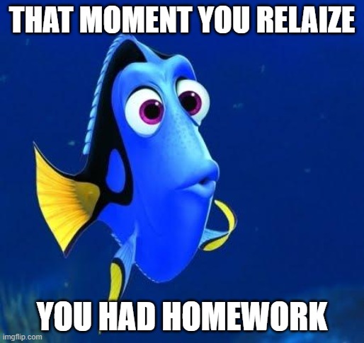 dory | THAT MOMENT YOU RELAIZE; YOU HAD HOMEWORK | image tagged in dory | made w/ Imgflip meme maker