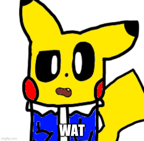 what | WAT | made w/ Imgflip meme maker