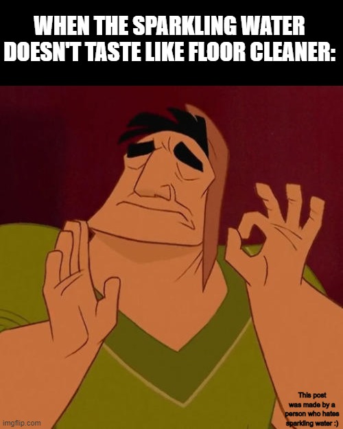 I hate when sparkling water tastes like that ;-; | WHEN THE SPARKLING WATER DOESN'T TASTE LIKE FLOOR CLEANER:; This post was made by a person who hates sparkling water :) | image tagged in when x just right | made w/ Imgflip meme maker