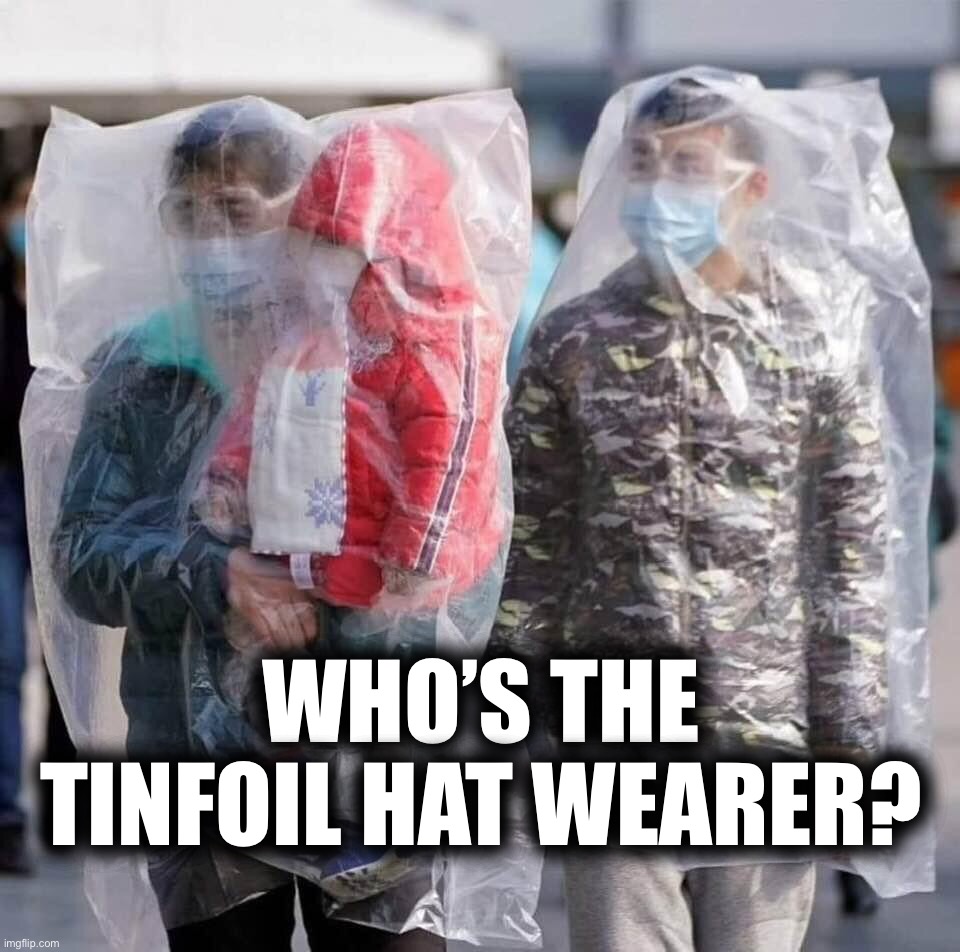 Who’s the tinfoil hat wearer? | WHO’S THE TINFOIL HAT WEARER? | image tagged in tinfoil hat,covid-19,coronavirus,lockdown,new world order,conspiracy theory | made w/ Imgflip meme maker