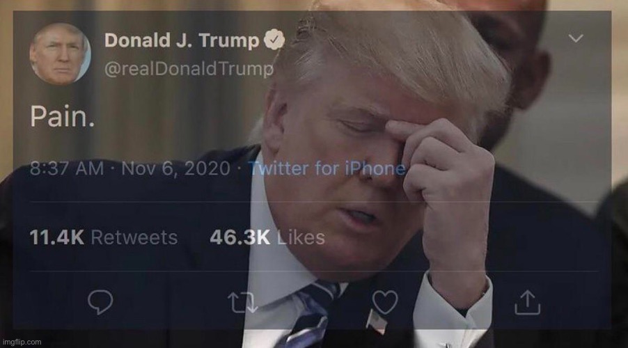 Trump hides pain | image tagged in trump hides pain | made w/ Imgflip meme maker