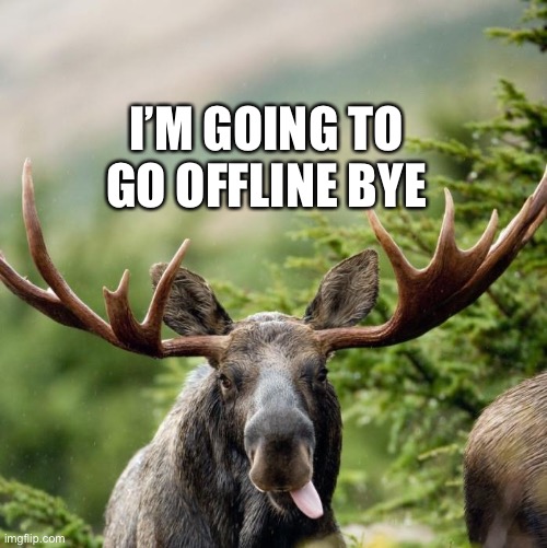 Bye | I’M GOING TO GO OFFLINE BYE | image tagged in moose | made w/ Imgflip meme maker