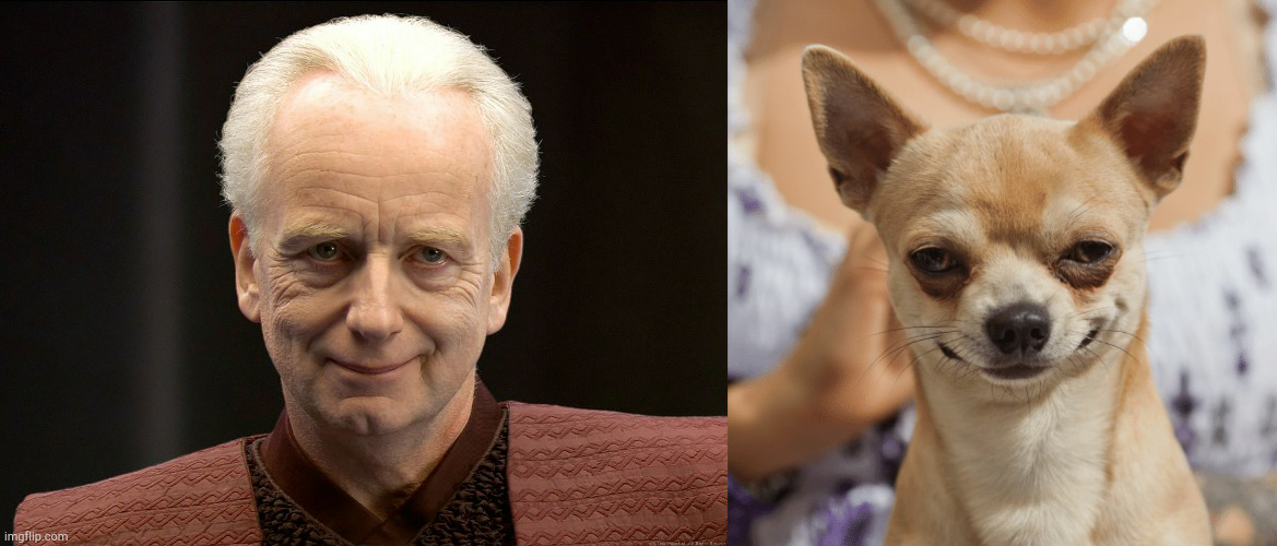 Palpatine and chihuahua stage 1 Blank Meme Template