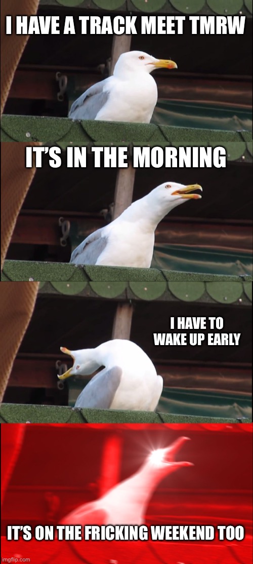 I wna go to it and I wna do it I just wish it wasn’t so early | I HAVE A TRACK MEET TMRW; IT’S IN THE MORNING; I HAVE TO WAKE UP EARLY; IT’S ON THE FRICKING WEEKEND TOO | image tagged in memes,inhaling seagull | made w/ Imgflip meme maker