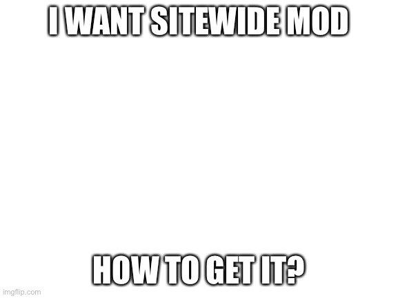I want mod! | I WANT SITEWIDE MOD; HOW TO GET IT? | image tagged in blank white template,imgflip mods,mods | made w/ Imgflip meme maker
