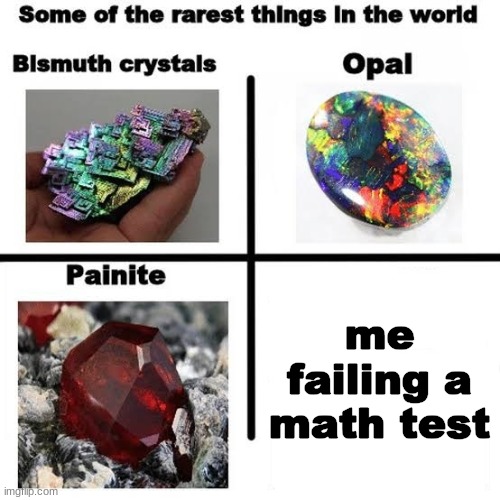f l e x | me failing a math test | image tagged in some of the rarest things in the world | made w/ Imgflip meme maker