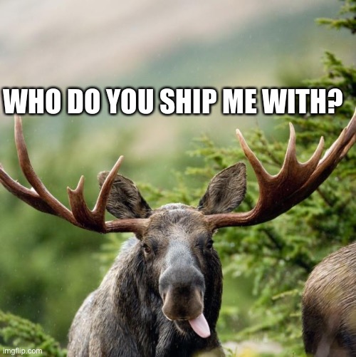 Moose | WHO DO YOU SHIP ME WITH? | image tagged in moose | made w/ Imgflip meme maker