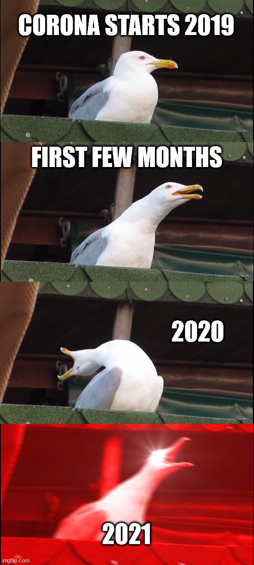 seagull suffer from corona | CORONA STARTS 2019; FIRST FEW MONTHS; 2020; 2021 | image tagged in memes,inhaling seagull,coronavirus meme,coronavirus,corona | made w/ Imgflip meme maker