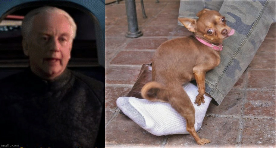 Palpatine and chihuahua stage 5 Blank Meme Template