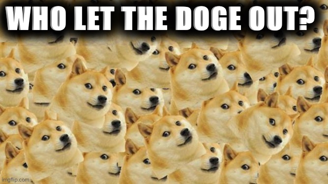 Doge |  WHO LET THE DOGE OUT? | image tagged in memes,multi doge | made w/ Imgflip meme maker