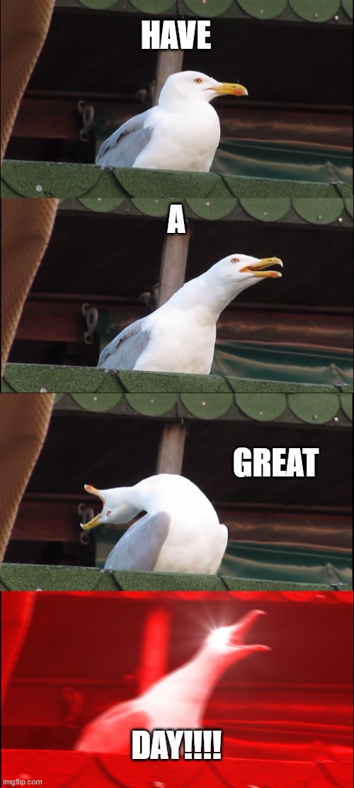 Have a good day, night or evening where ever u are in this world of Oz! ^v^ | HAVE; A; GREAT; DAY!!!! | image tagged in memes,inhaling seagull | made w/ Imgflip meme maker